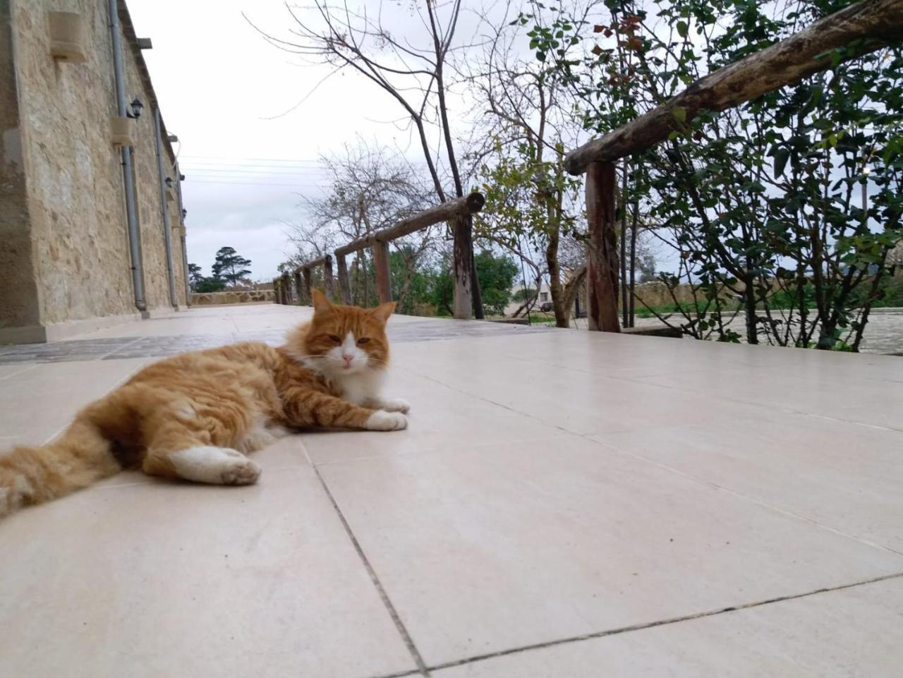 Revakli Ev Guest House Rizokarpaso 外观 照片